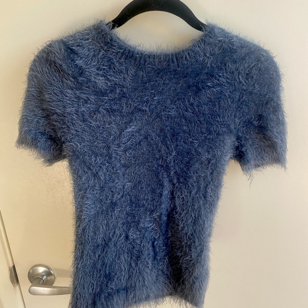 William B Furry Blue Cropped T
